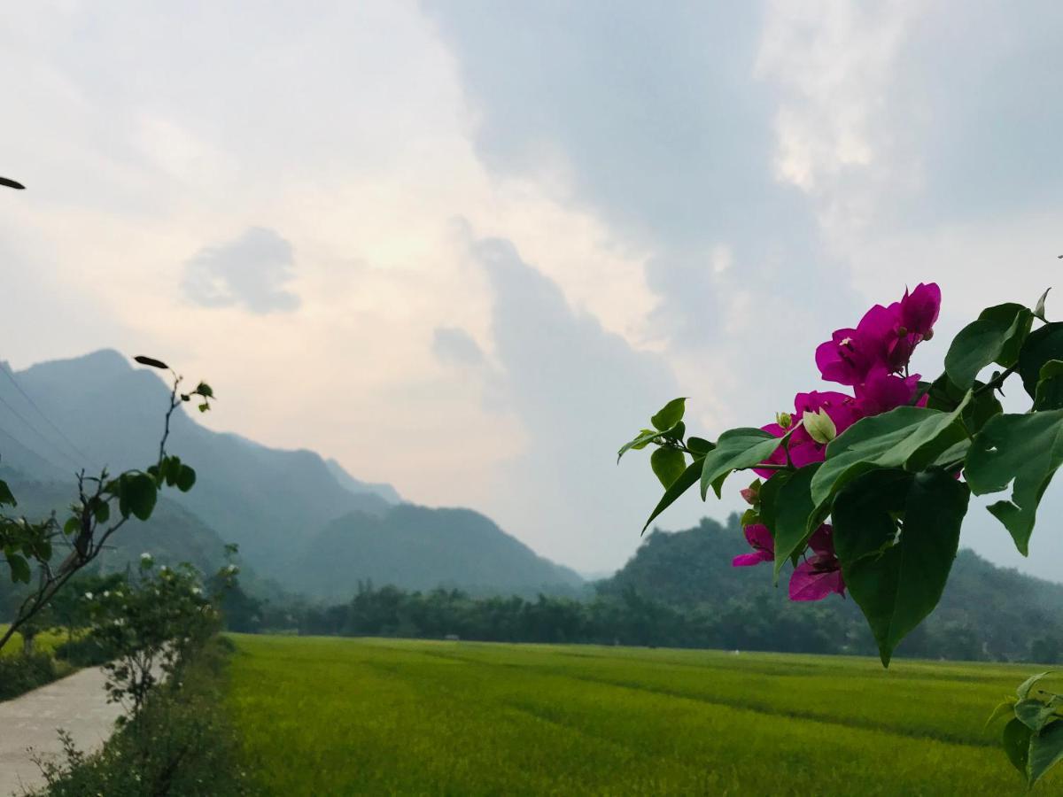 Jomo House Mai Chau Ξενοδοχείο Hòa Bình Εξωτερικό φωτογραφία
