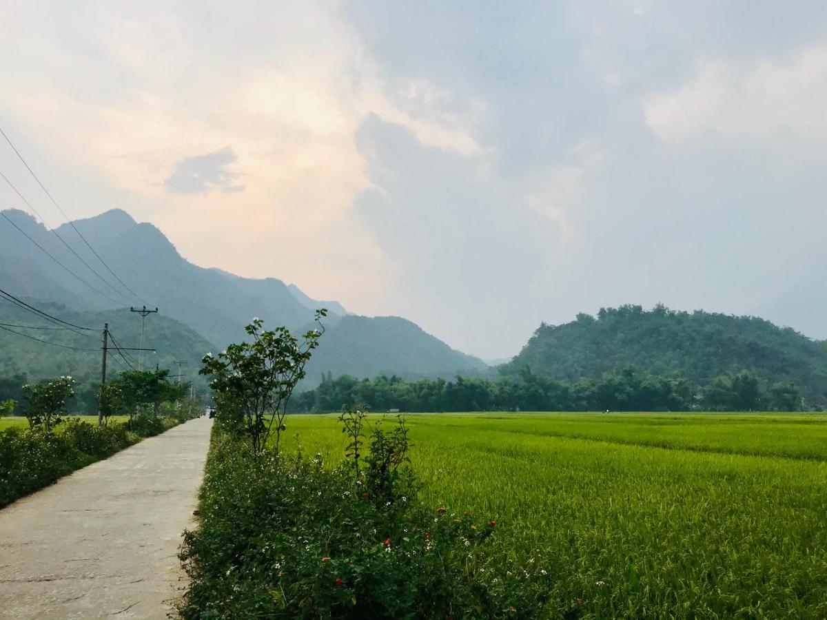 Jomo House Mai Chau Ξενοδοχείο Hòa Bình Εξωτερικό φωτογραφία